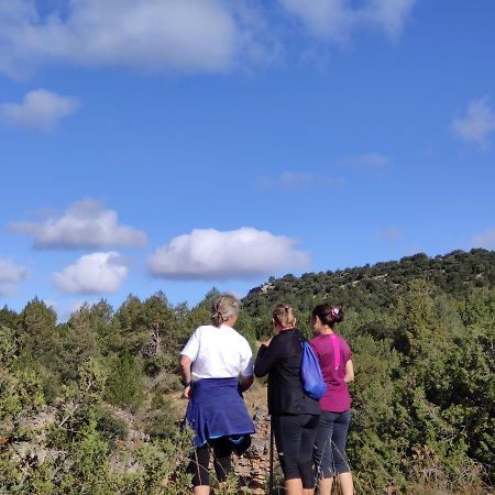 Casa Rural Sierra Del Solorio Iruecha エクステリア 写真