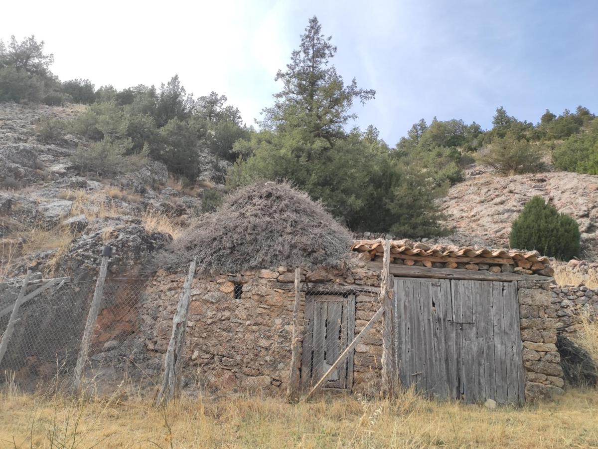 Casa Rural Sierra Del Solorio Iruecha エクステリア 写真